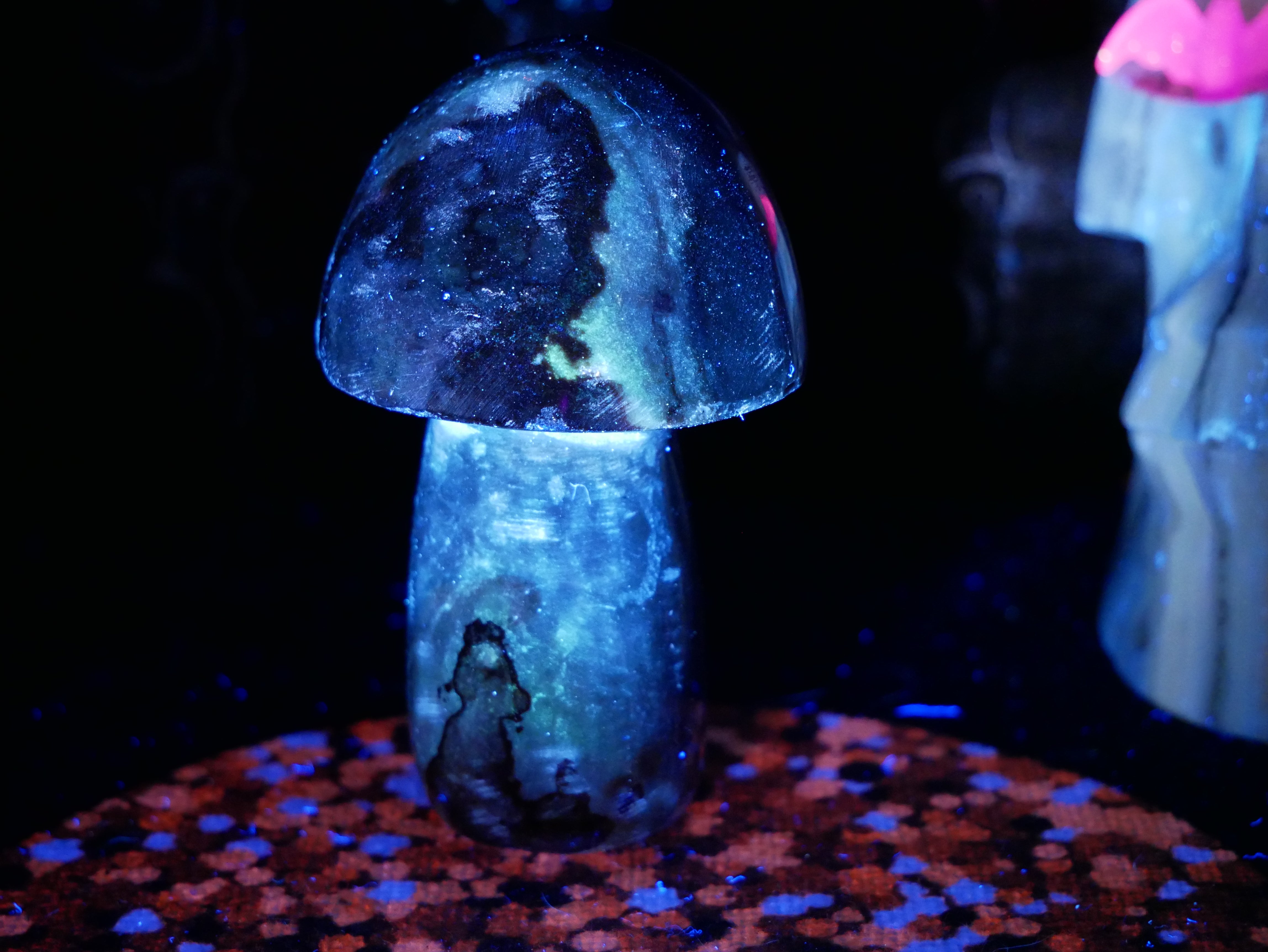 Polychrome Jasper Mushroom