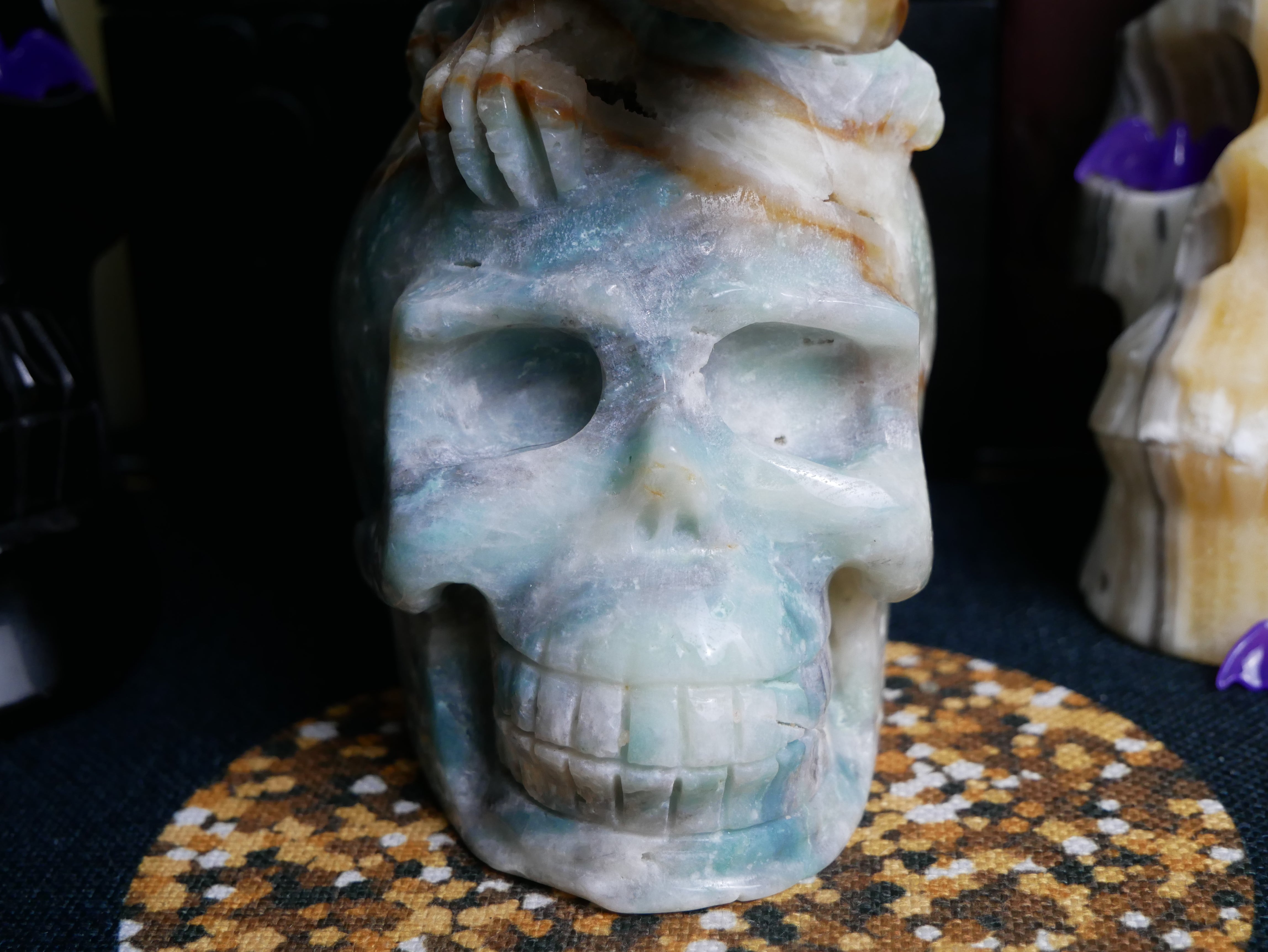 Caribbean Calcite Dinosaur on Skull