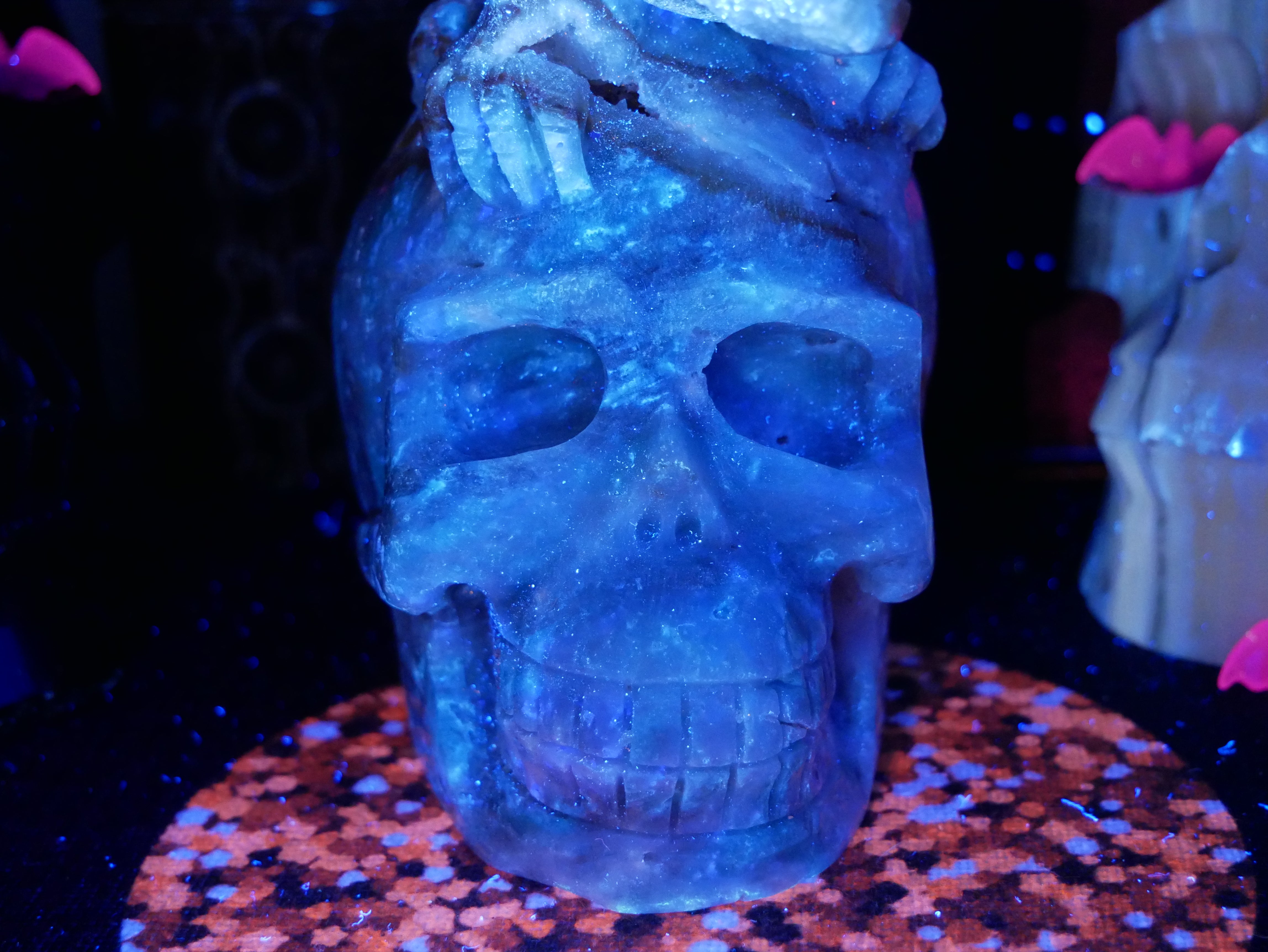 Caribbean Calcite Dinosaur on Skull