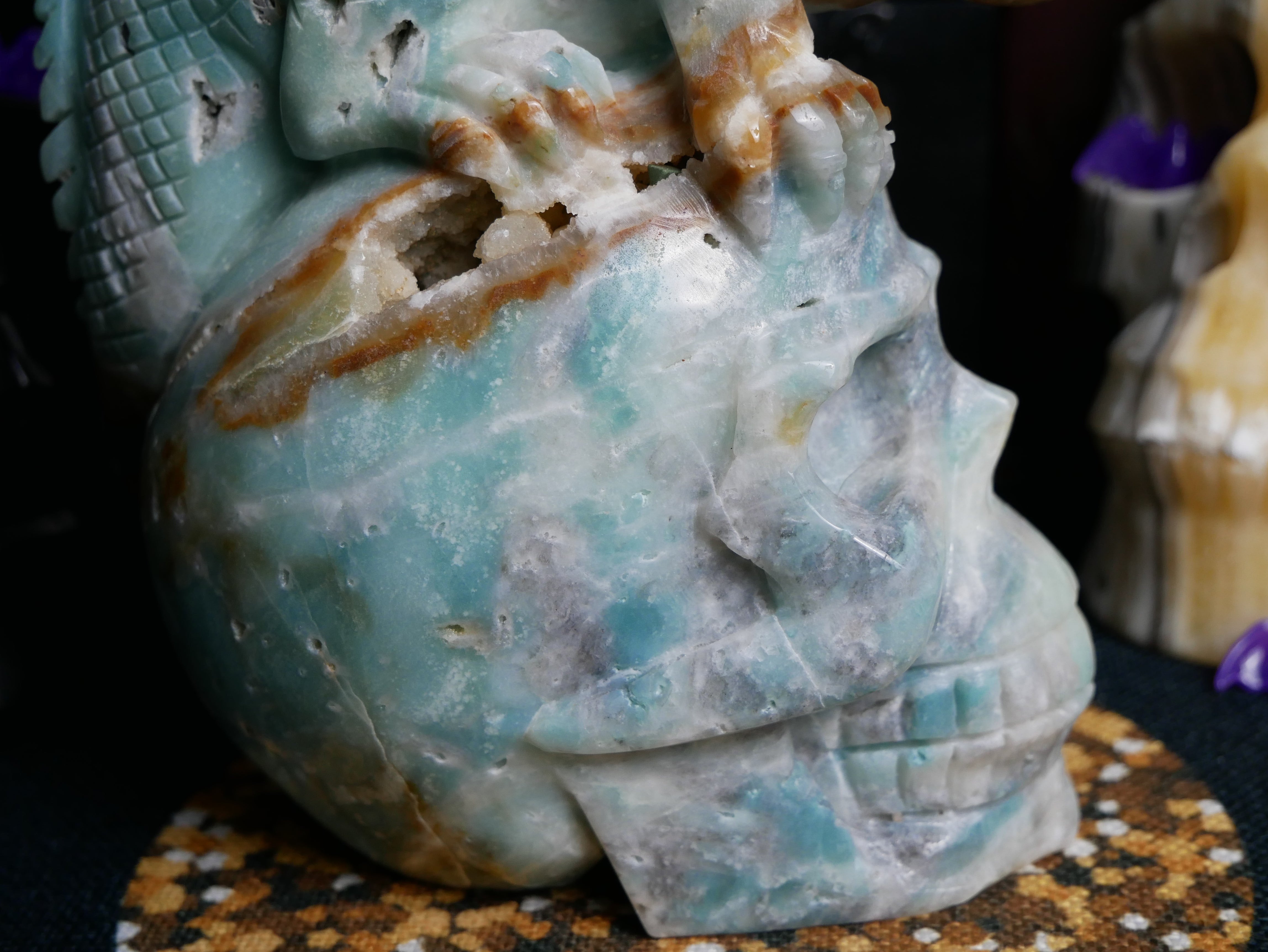 Caribbean Calcite Dinosaur on Skull