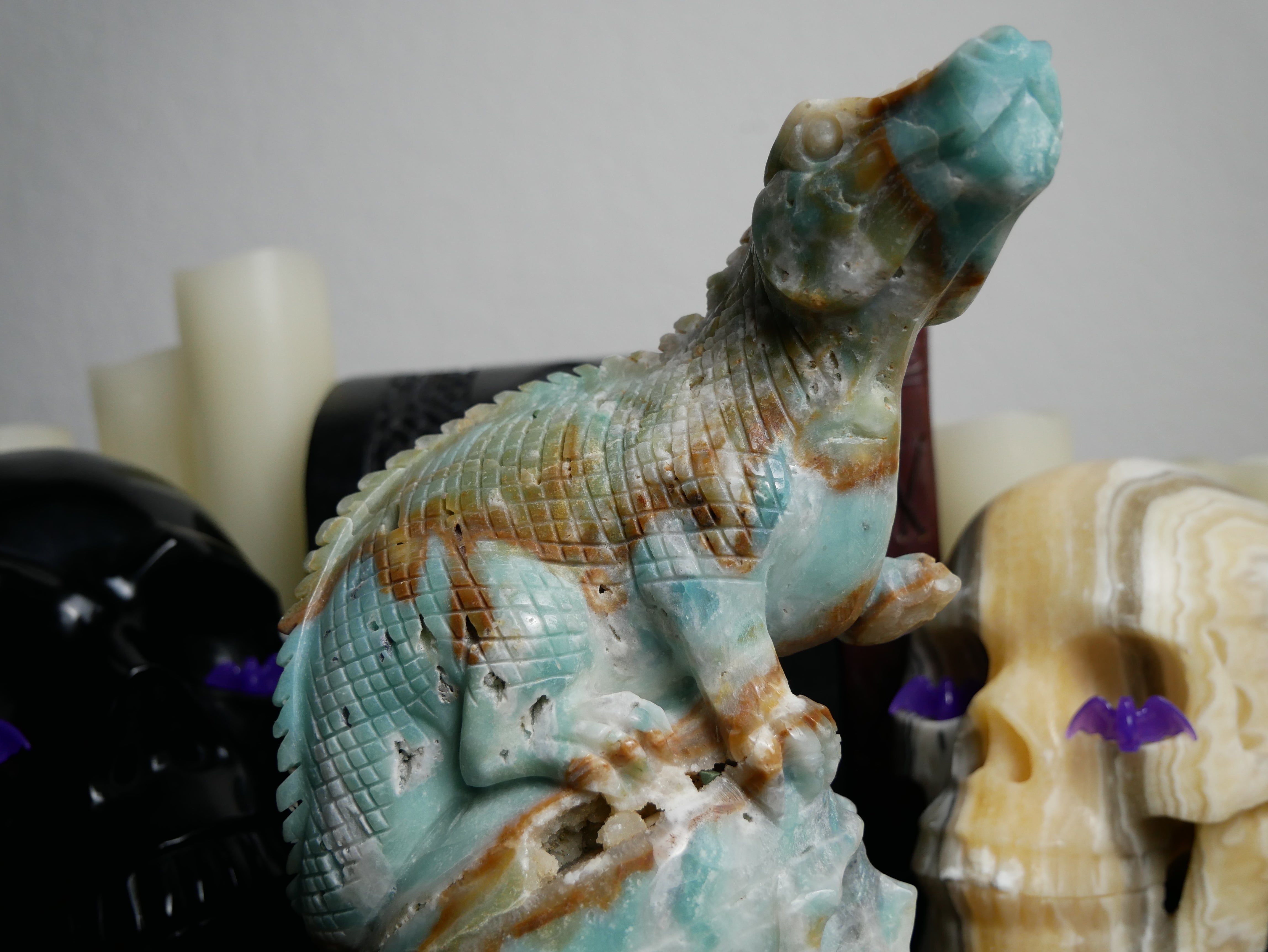 Caribbean Calcite Dinosaur on Skull