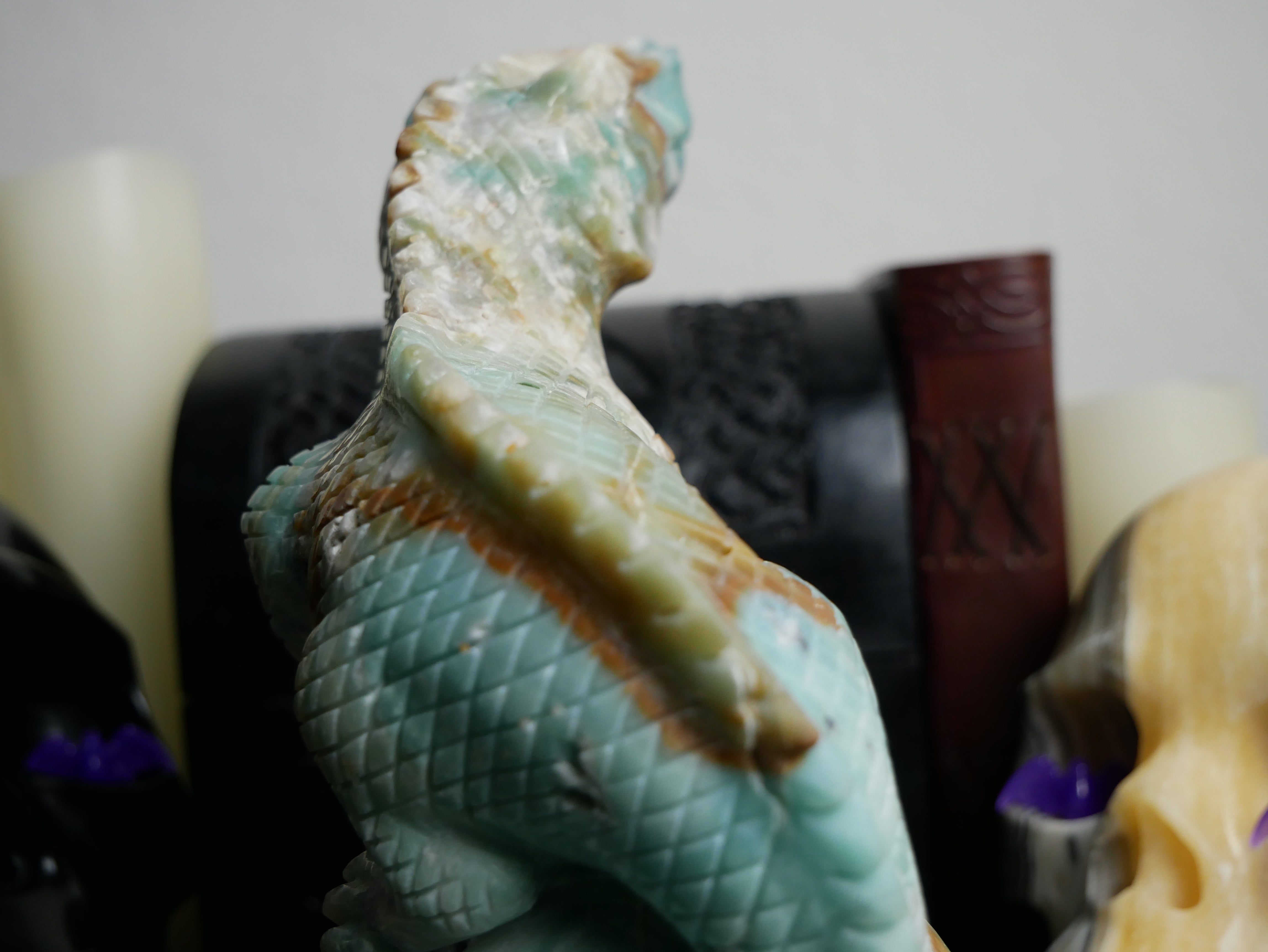 Caribbean Calcite Dinosaur on Skull