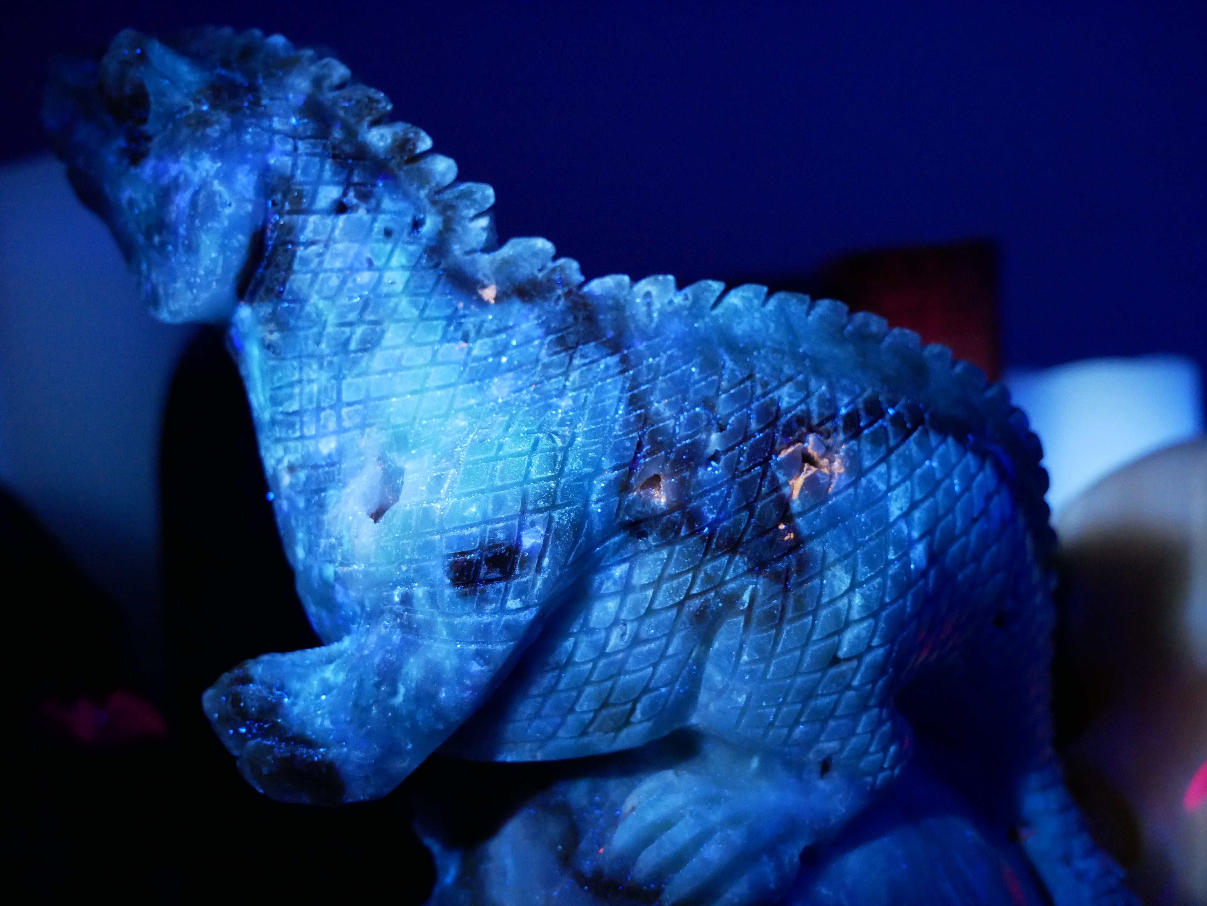 Caribbean Calcite Dinosaur on Skull