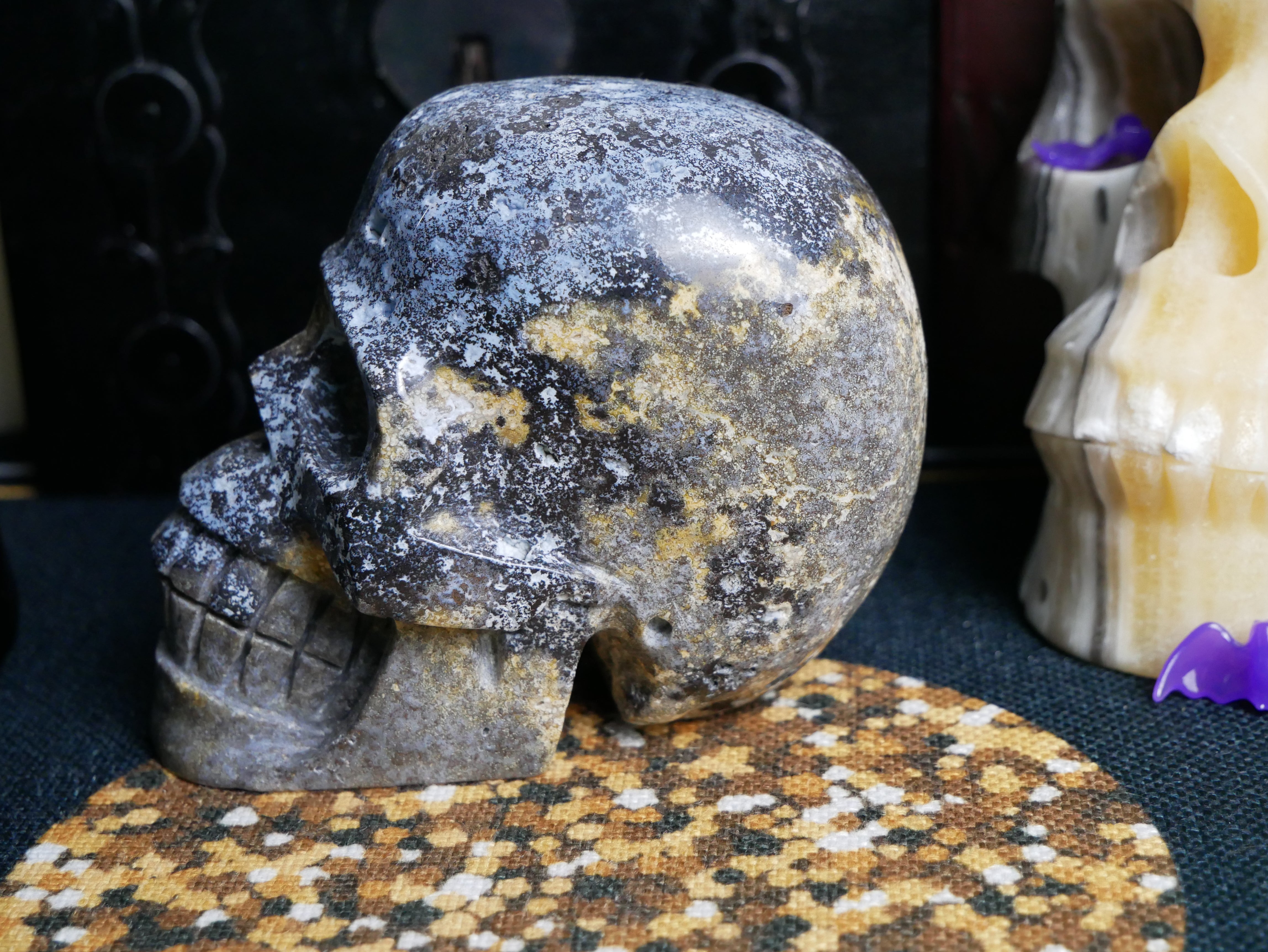 Galaxy Ocean Jasper Skull