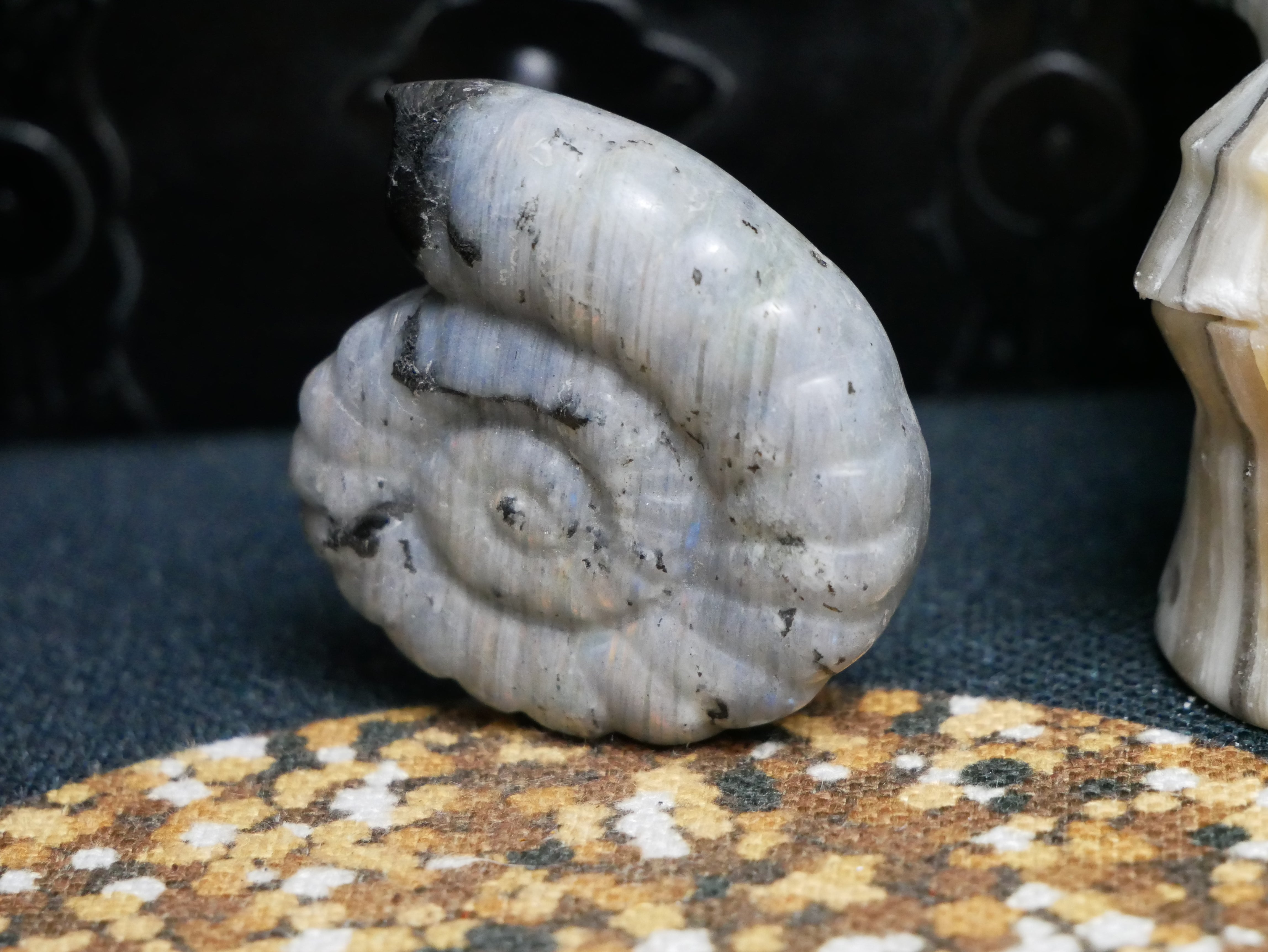 Labradorite Shell