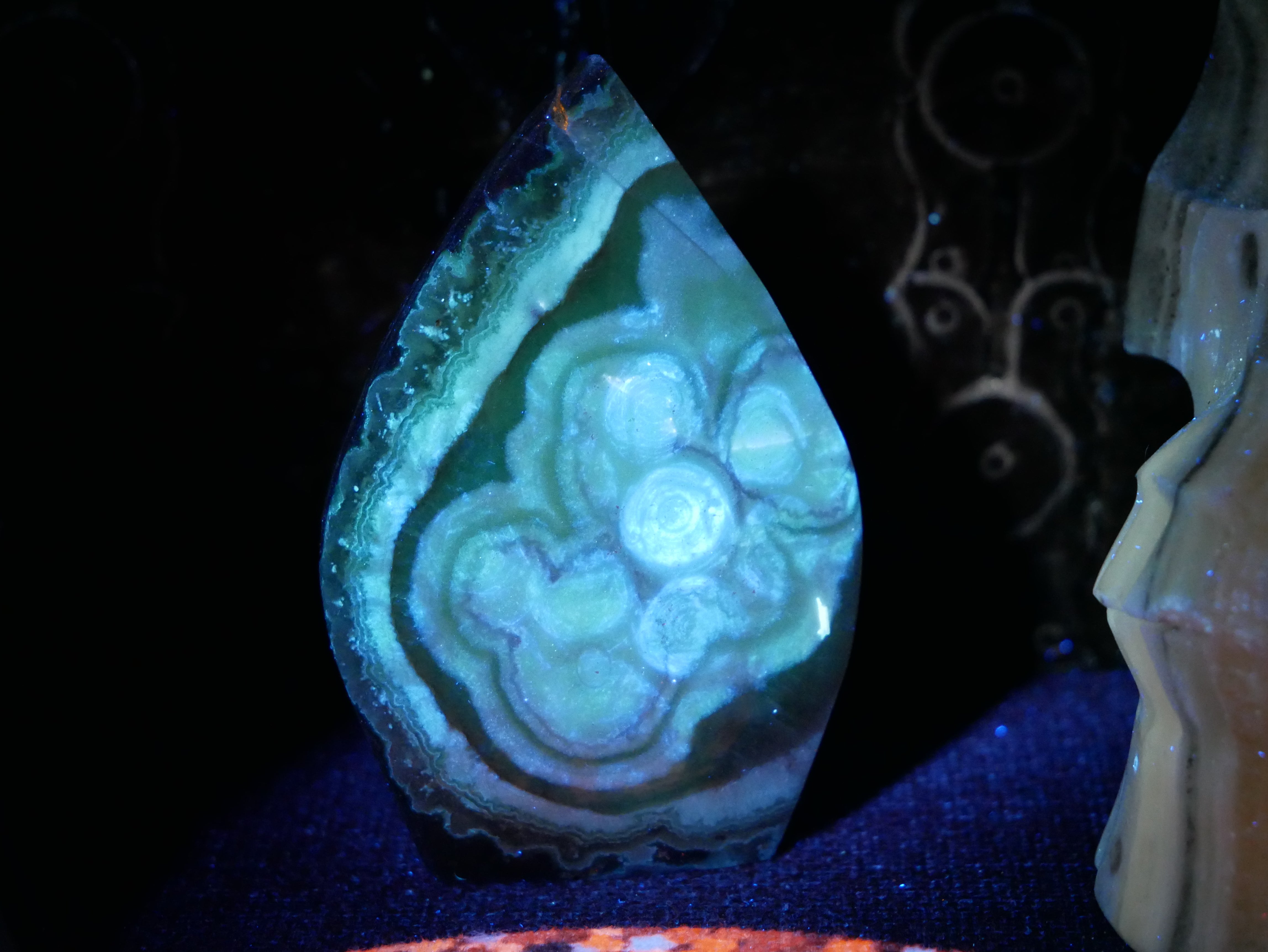 Mexican Crazy Lace Agate Freeform